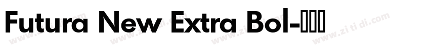 Futura New Extra Bol字体转换